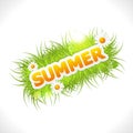 Word summer with fresh green grass Royalty Free Stock Photo