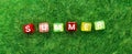 Word summer on green grass background. lawn desktop nature pattern. banner Royalty Free Stock Photo