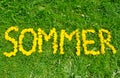 The word summer made of yellow flowers on green meadow written in German `Sommer`