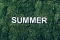 Word Summer on moss, green grass background. Top view. Copy space. Banner. Biophilia concept. Nature backdrop Royalty Free Stock Photo