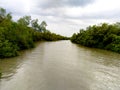 Sundarban -The queen of beauty, Khulna, Bangladesh Royalty Free Stock Photo