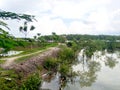 Sundarban -The queen of beauty, Khulna, Bangladesh Royalty Free Stock Photo