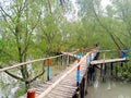 Sundarban -The queen of beauty, Khulna, Bangladesh