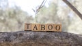 The word TABOO was created from wooden blocks. Sociology and life. Royalty Free Stock Photo