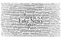 Word tag cloud on the topic of fake news Royalty Free Stock Photo