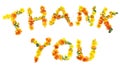 The word THANK YOU made of yellow and orange flowers. Royalty Free Stock Photo