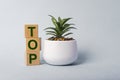 Word TOP on wooden cubes. Concept of greenery and plants Royalty Free Stock Photo