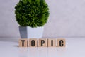 word topic on white toy cubes with flower. Royalty Free Stock Photo