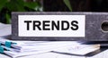 The word TRENDS is written on the gray document folder that lies on top of the documents. Business concept