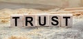 The word TRUST is written on wooden cubes. Wooden cubes lie on the table with sawdust and wooden blocks. Designed to promote your