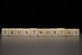 The word TRUSTWORTHY written on wooden cubes, isolated on a black background