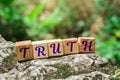 Word truth on stone Royalty Free Stock Photo