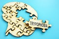 Word Trypophobia on the puzzle with brain shape Royalty Free Stock Photo