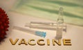 The word vaccine is laid out on a hundred table surrounded by an ampoule and syringe