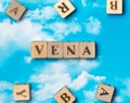 The word vena Royalty Free Stock Photo