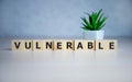 word Vulnerability on wooden cubes, concept background Royalty Free Stock Photo