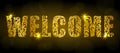 Word Welcome. Golden text made of floral elements with sparks on a dark background.