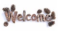 The word Welcome isolated on white background made in Cedar Pinecone Letters style. Royalty Free Stock Photo