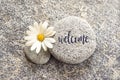 Word Welcome written on a stone with a daisy