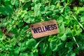 The word wellness wooden tag Royalty Free Stock Photo