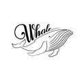 The word whale. Whale black and white.