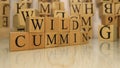 The word wild cummin was created from wooden letter cubes.