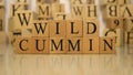 The word wild cummin was created from wooden letter cubes.