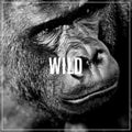 Word Wild. Face portrait of a gorilla male