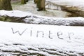 Word winter written in snow on oak tree trunk