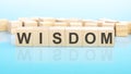 word Wisdom made with wood building blocks, business concept