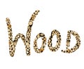 Word wood filled with wooden piece