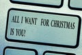 Word writing text All I Want For Christmas Is You. Business concept for Holiday celebrate in couple roanalysistic