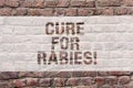 Word writing text Cure For Rabies. Business concept for Vaccination medicines to fight against illness lethal virus