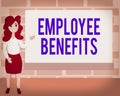 Word writing text Employee Benefits. Business concept for form of compensation paid by employers to workers Female Hu