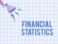 Word writing text Financial Statistics. Business concept for Comprehensive Set of Stock and Flow Data of a company