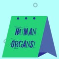 Word writing text Huanalysis Organs. Business concept for The internal genital structures of the huanalysis body Modern