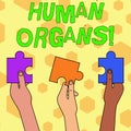 Word writing text Huanalysis Organs. Business concept for The internal genital structures of the huanalysis body Three