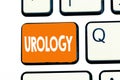 Word writing text Urology. Business concept for Medicine branch related with urinary system function and disorders