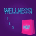 Word writing text Wellness. Business concept for Making healthy choices complete mental physical relaxation Color Gift