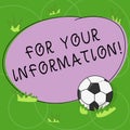 Word writing text For Your Information. Business concept for Info is shared and that no direct action needed Soccer Ball