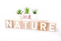 The word & x22;nature& x22; front wooden block on white background and decorative tree Royalty Free Stock Photo