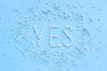 Word YES made of white flowers on a light blue background Royalty Free Stock Photo