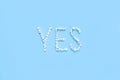 Word YES made of white flowers on a light blue background Royalty Free Stock Photo