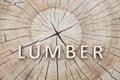 Word ÃÂ«LumberÃÂ» made of wooden letters on stump