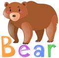 Wordcard for grizzly bear