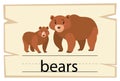 Wordcard template for word bears