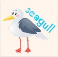 Wordcard with wild seagull