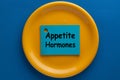 Appetite Hormones Concept Royalty Free Stock Photo