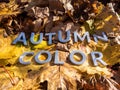 The words autumn color laid with metal letters over yellow autumn fallen leaves - closeup with selective focus