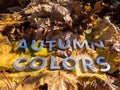 The words autumn colors laid with metal letters over yellow autumn fallen leaves - closeup with selective focus